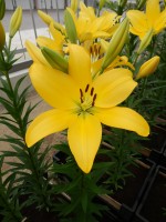 [4020 Cevennes No02.JPG]